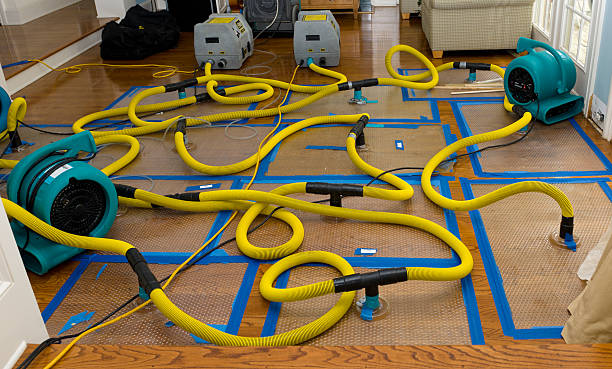 Professional Structural Drying And Dehumidification technician working in Ridgewood, NJ